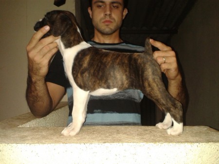 Brahma - Esmeraldas - MG